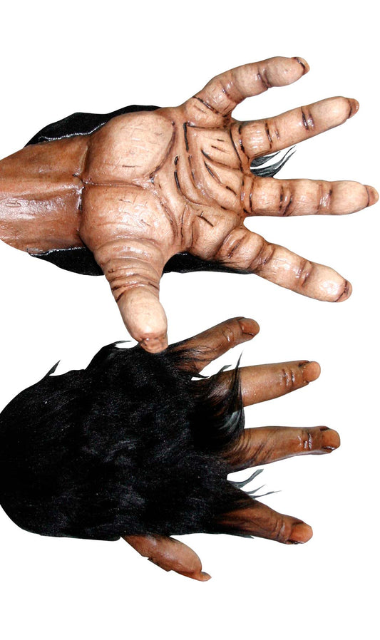Schimpansenhand