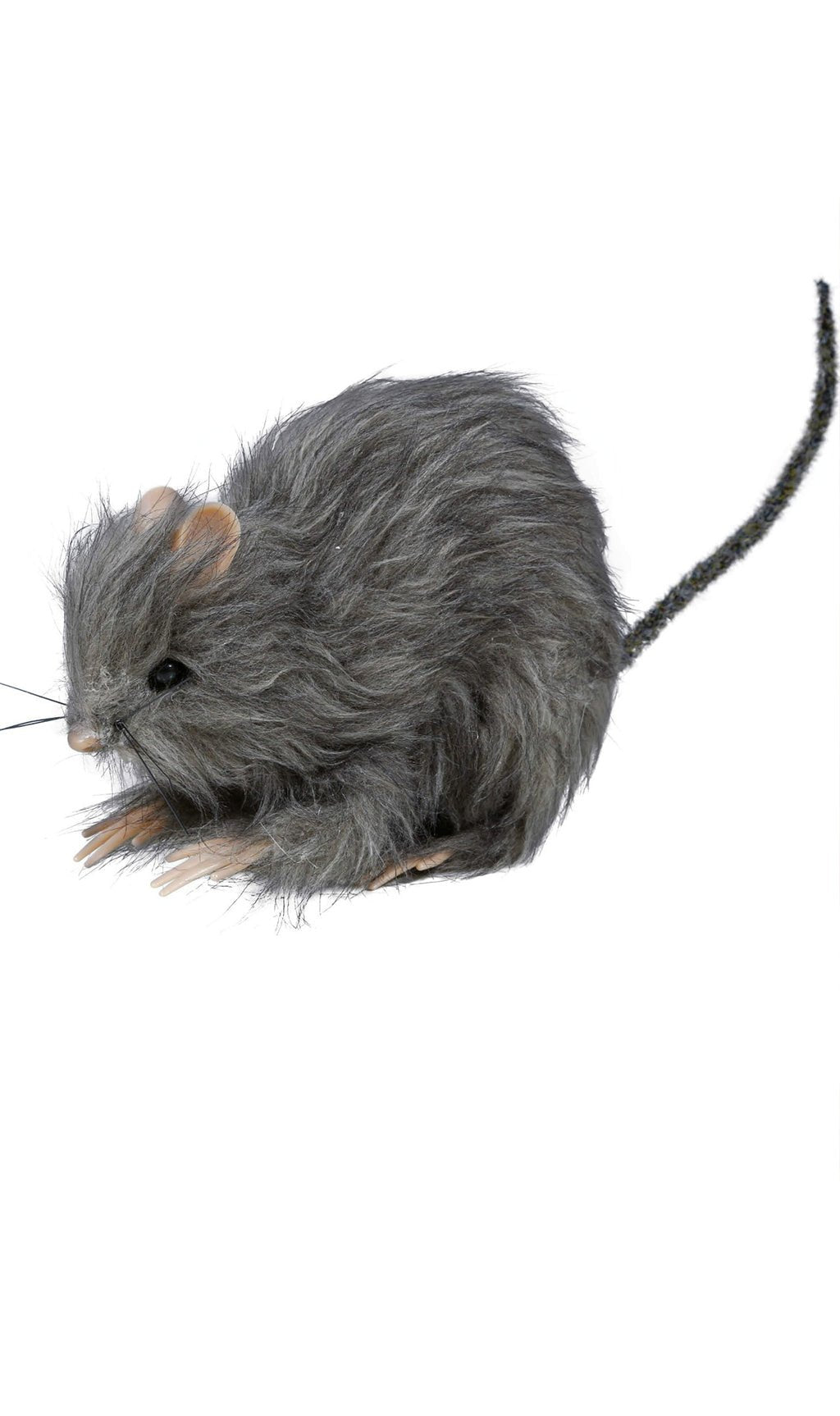 Kleine Ratte