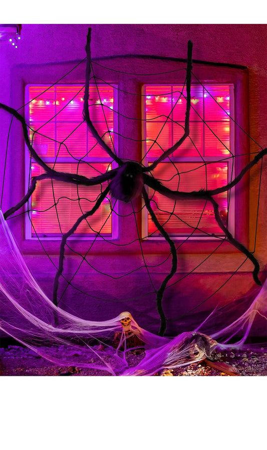 Spinnennetz mit Riesen Spinne